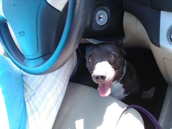 /Images/uploads/Humane Society of Utah/HSUCalendar/entries/1580thumb.jpg
